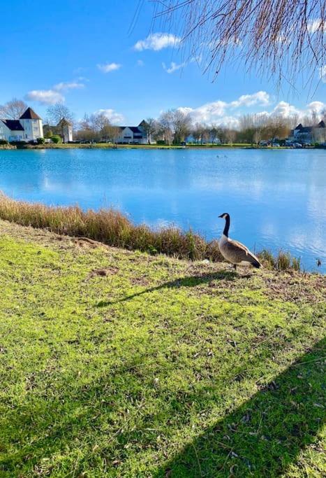 Emerald Lake House South Cerney Bagian luar foto